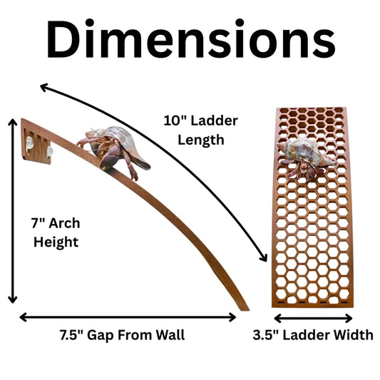 🦀 Scalyplay™ Hermit Crab Ladder Ramp - Climbing Toy & Tank Enrichment Decor for Hermit Crab Habitats