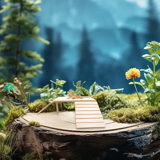 🦎 Scalyplay™ Wooden Bearded Dragon Basking Platform & Hide Cave - Natural Climbing Ramp Reptile Habitat Accessory