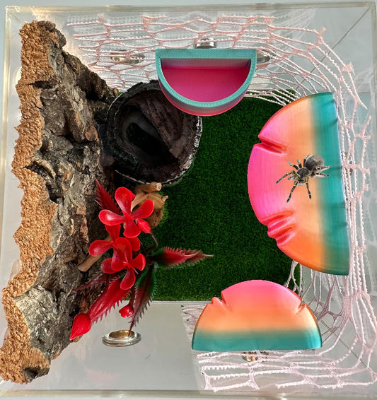 Scalyplay™ 2-Pack Jumping Spider Mushroom Ledges & Water Bowl – Magnetic Enclosure Accessories