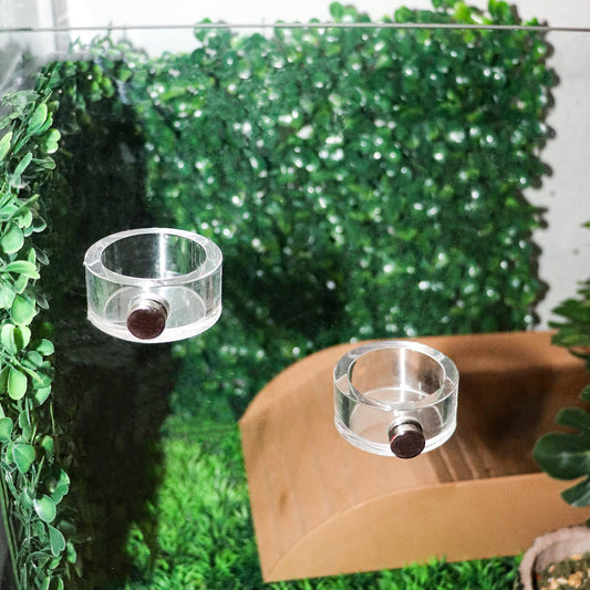 Scalyplay™ 2-Pack Jumping Spider Feeding Dishes – Magnetic Leak-Proof Acrylic Bowls