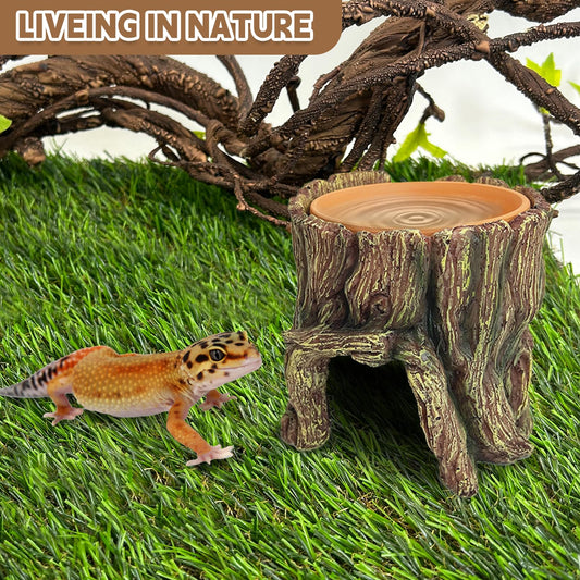 Scalyplay™ 2-in-1 Reptile Humid Hide Cave - Natural Hideout with Removable Water & Humidity Dish